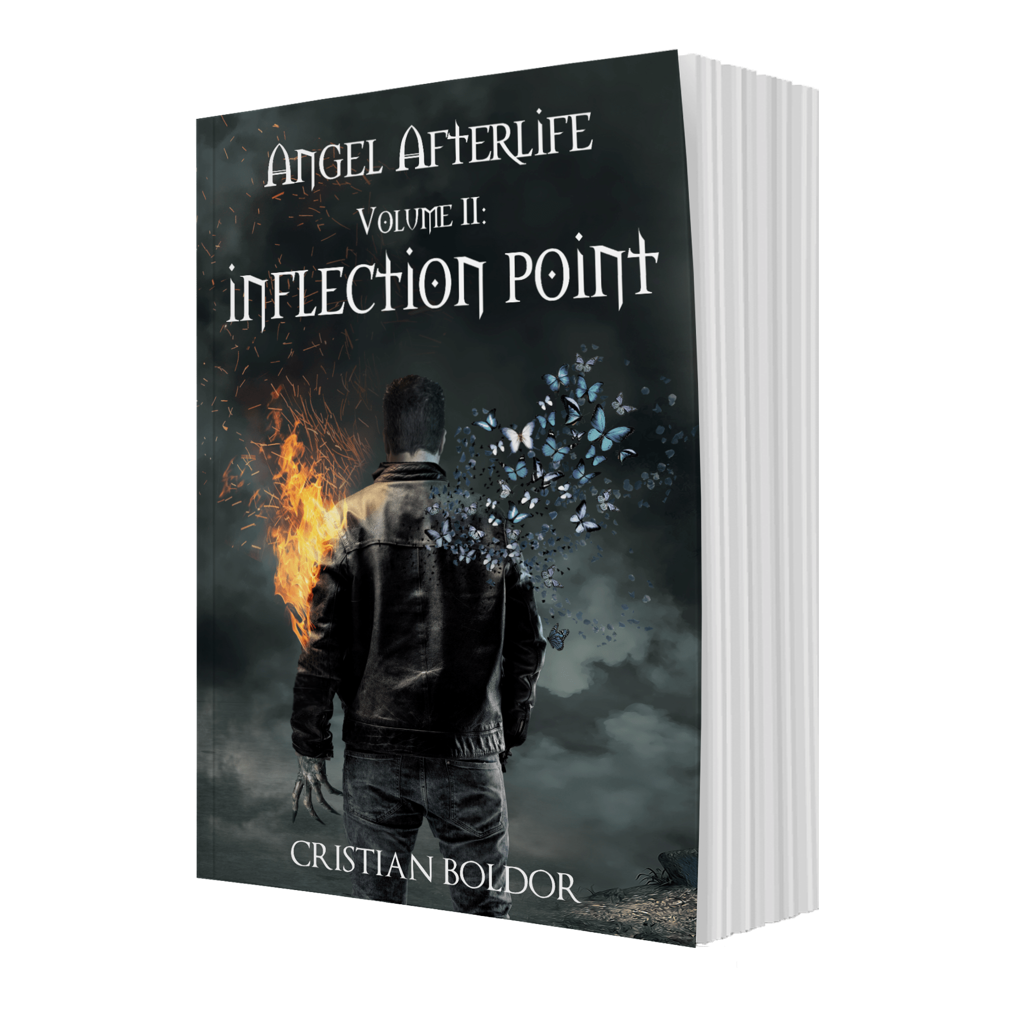 Angel Afterlife series - Overview